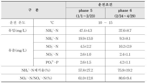 Daily test 결과