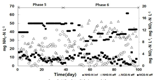 질소계열 농도 변화