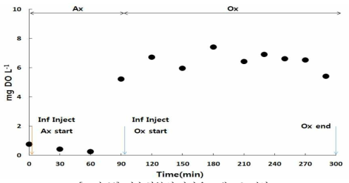 연속회분식 광반응조내 DO 변화