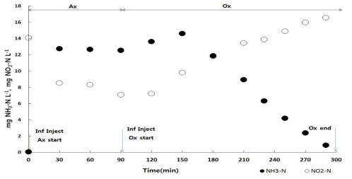 연속회분식 광반응조내 질소 변화
