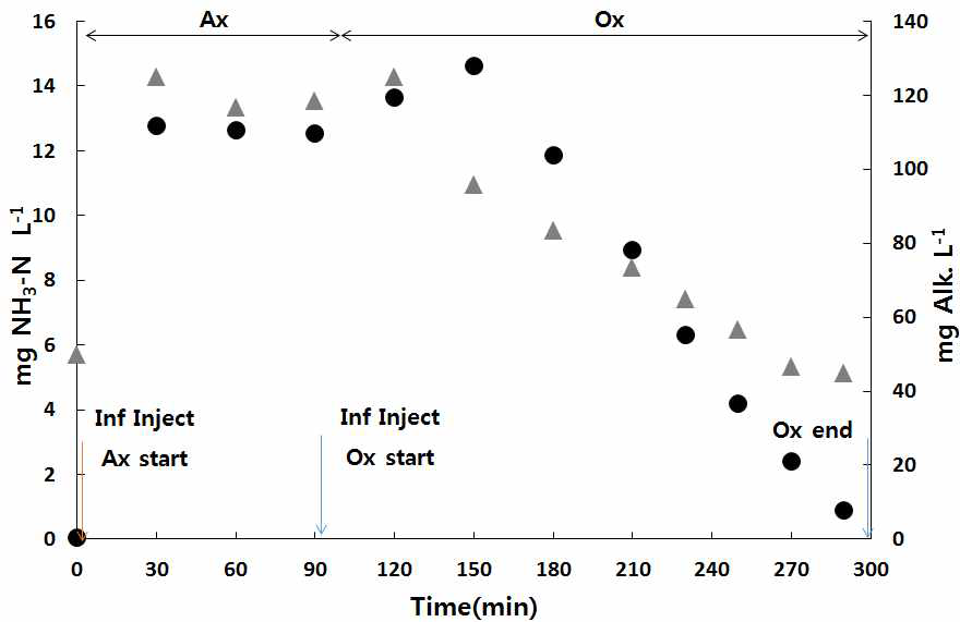 연속회분식 광반응조내 NH4 +-N과 알칼리도 변화