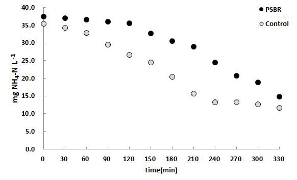 PSBR과 control SBR의 암모니아성 질소(NH4 +-N) 농도 변화