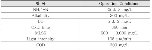 MLSS 농도 별 반응조 운전조건