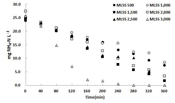 MLSS 농도별 암모니아성 질소(NH4 +-N) 농도 변화