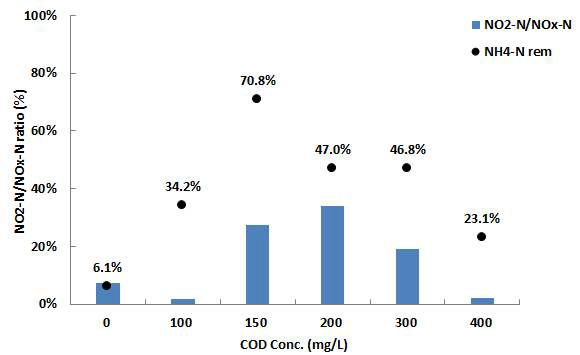 COD 농도별 NO2 --N 축적률과 NH4 +-N 제거율