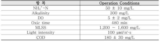 합성폐수를 이용한 batch test 운전조건