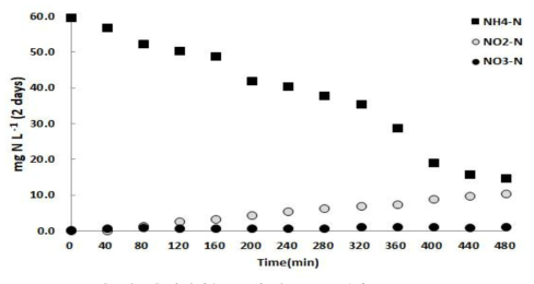합성폐수 test의 질소 농도 변화 (2 days)