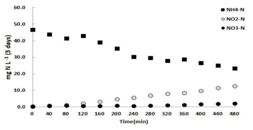 합성폐수 test의 질소 농도 변화 (3 days)