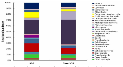 SBR와 PSBR에서 활성 슬러지 과 수준의 세균 군집