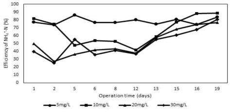 Sub-cycle 횟수에 따른 암모늄 산화 효율 변화