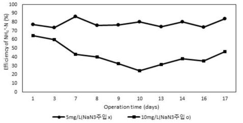 NaN 주입에 따른 암모니아 산화 효율 변화3