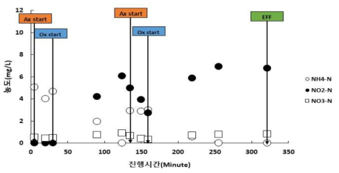 연속회분식 광반응조내 질소 변화