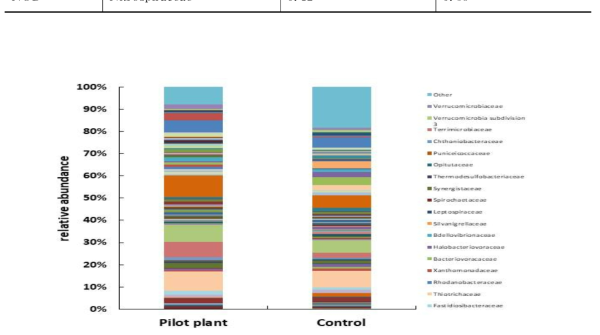 Pilot plant와 Control에서 활성 슬러지의 과 단위에서 세균 군집