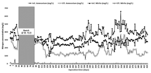 ANAMMOX 대량 배양조 연속운영 결과