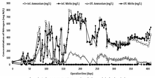 ANAMMOX 고속 배양조 연속운영 결과