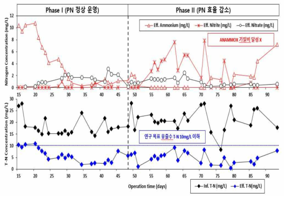 실증화 플랜트 ANAMMOX 반응조 연속운영 결과