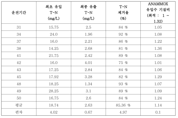 ANAMMOX 기질비 충족 기간 반응조 운전 결과