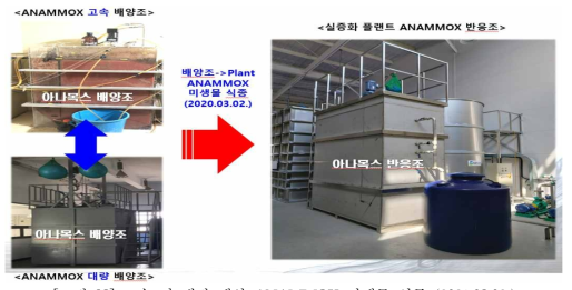 고속 및 대량 배양 ANAMMOX 미생물 식종 (2021.03.02.)