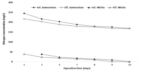 ANAMMOX 반응조 phase I (안정화) 기간 연속운전 결과