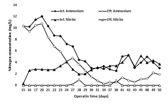 ANAMMOX 반응조 Phase I 기간 연속운전 결과