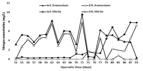 ANAMMOX 반응조 Phase II (부분아질산화 효율 X) 기간 연속운전 결과