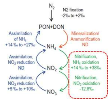 Isotopic analysis of coupled nitrogen(d15N) and oxygen(d180)