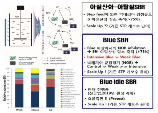 블루 라이트 이용 아질산화 매커니즘 및 운전 전략