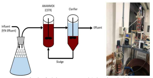 실제 ANAMMOX 반응기 모식도 및 사진