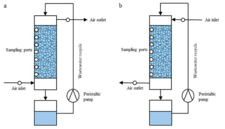 실제 하수를 이용한 Lab-scale의 바이오필터 실험 모식도 Counter-current setup (a)과 co-current setup (b)