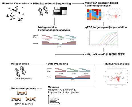 High-throughput sequencing이나 N2O 환원 컨소시엄의 nosZ 유전체의 정량, 정성적 분석
