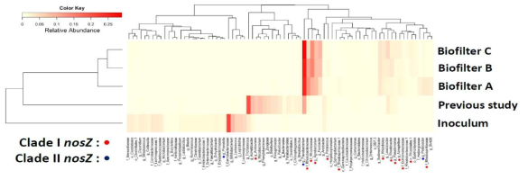 16S rRNA amplicon sequencing 분석을 통해 얻은 미생물 군집에 관한 Heatmap