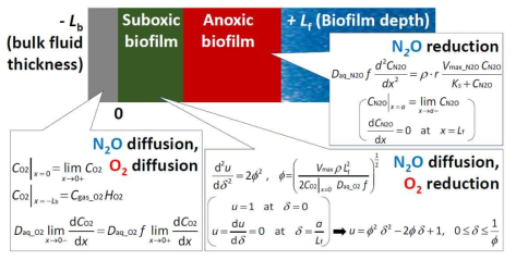 바이오필름 N2O 제거 예측모델 수립에 관한 수식