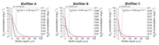 바이오필터 A, B, C에서의 N2O, O2 제거에 관한 바이오필름 모델