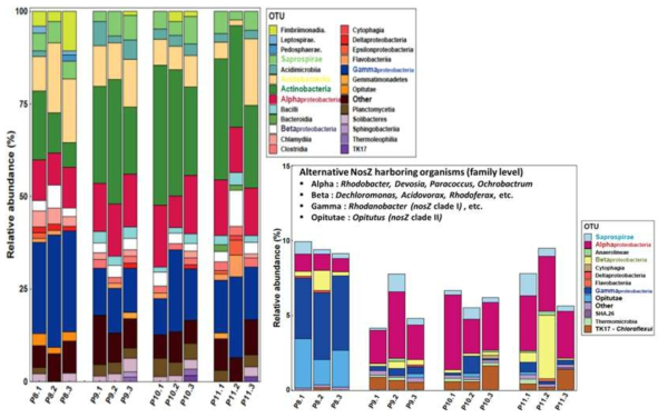 파일럿 바이오필터의 16s rRNA amplicon sequencing 분석을 통해 얻은 relative abundance(좌), 그 중 NosZ 유전체를 갖고 있는 미생물의 relative abundance(우). 샘플링 시기는 2019년 8월부터 11월까지 각 바이오필터의 담체를 샘플링함