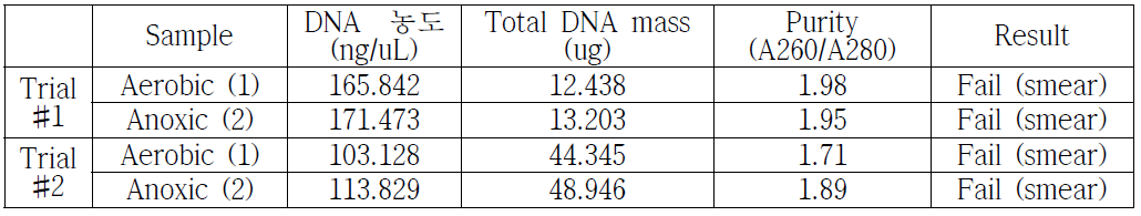 DNA extraction 결과