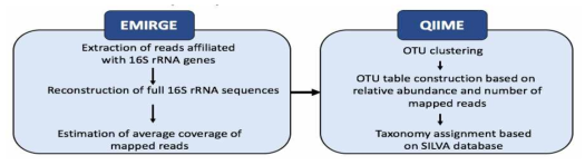 shotgun genomic data로 부터의 16S rRNA gene 추출 및 미생물 군집 분석 파이프라인