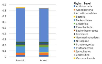 호기조 및 무산소조의 미생물 군집. 미생물 분류는 문 (Phylum) 단계로 명시되었음