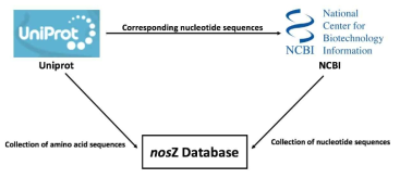 nosZ 시퀀스 데이터베이스 구축 모식도