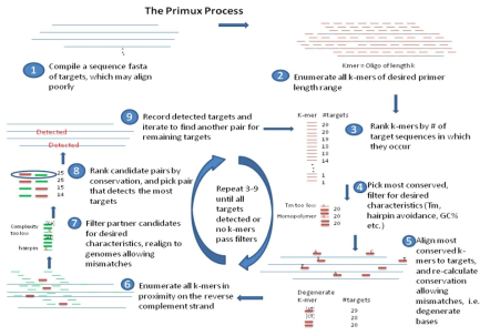 프로그램 Primux에서 사용되는 alignment외의 방법을 통한 프라이머 및 프로브 디자인 알고리즘