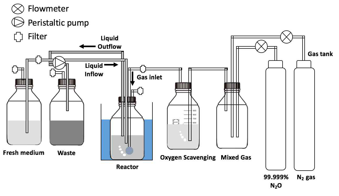 저농도 N2O 조건 하 하수샘플 배양 구성도