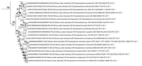 nosZ 유전체 염기서열로 이루어진 phylogenetic tree에서