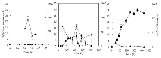 그림 28의 결과를 이용하여 각 조건 Control (왼쪽), salt stress (가운데), pH stress (오른쪽) 에서 시간에 따른 nosZ (nirS1 and nirS2) (▲) 및 N2O (■) 축적량 비교