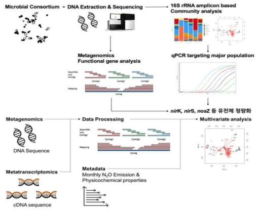 High-throughput sequencing이나 N2O 환원 컨소시엄의 nosZ 유전체의 정량, 정성적 분석