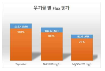 두 가지 무기물에 대한 플럭스 평가