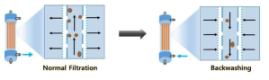 중공사 NF 분리막 역세정 모식도