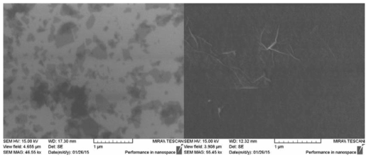 solution 형태의 graphene oxide(GO)를 spray방법으로 SiO2 위에 증착한 후 확보한 scanning electron microscopy (SEM) image. 왼쪽은 few layer GO flake들의 image이고, 오른쪽은 두껍게 쌓아 올려진 GO film의 이미지