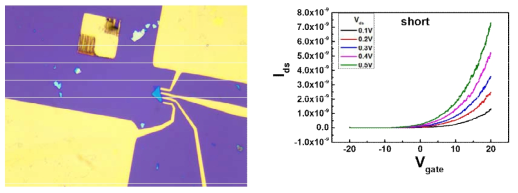 n-type의 MoS2 flake와 전극의 광학 현미경 이미지(왼쪽)와 gate voltage에 따른 source-drain 전류의 변화 그래프(오른쪽)