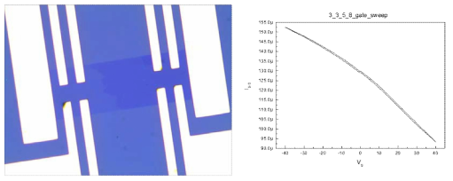 CVD 그래핀 박막위에 만들어진 Hall bar 구조의 광학 현미경 이미지(왼쪽). 전사된 CVD 그래핀의 gate voltage에 따른 source-drain 전류 변화 그래프(오른쪽)