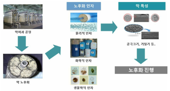 막여과 공정에서 발생되는 막 노후화 인자 및 특성