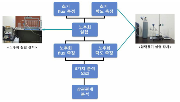 노화 진행 실험 방법 모식도